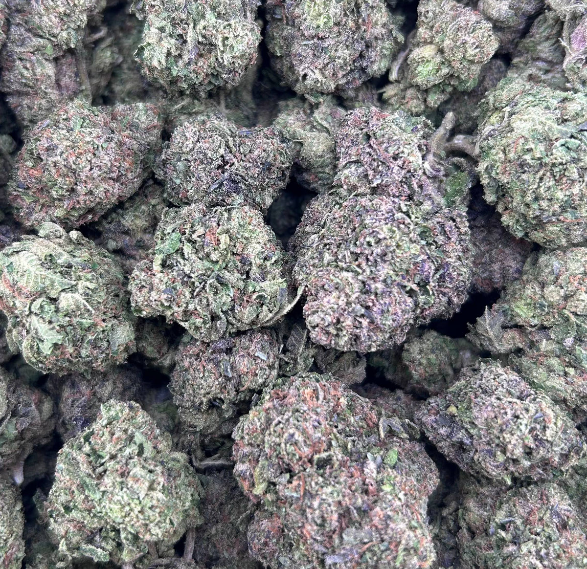 CANDY EUPHORIA #ZUP4719