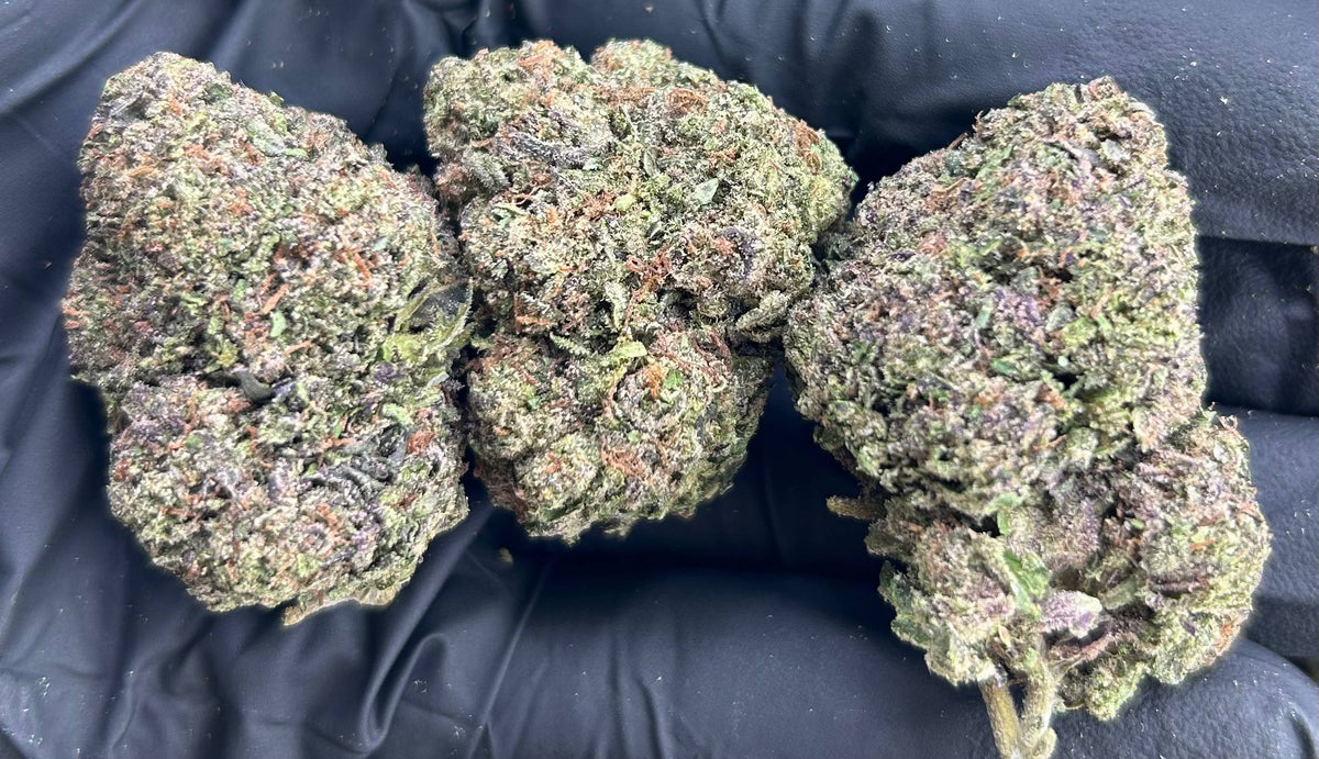 CANDY EUPHORIA #ZUP4719