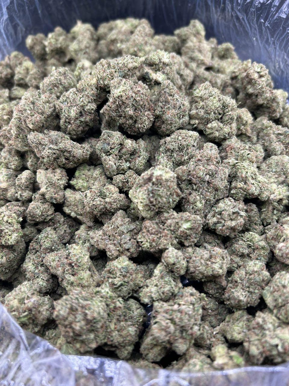 GRAPE WELCHES ZUP#4557