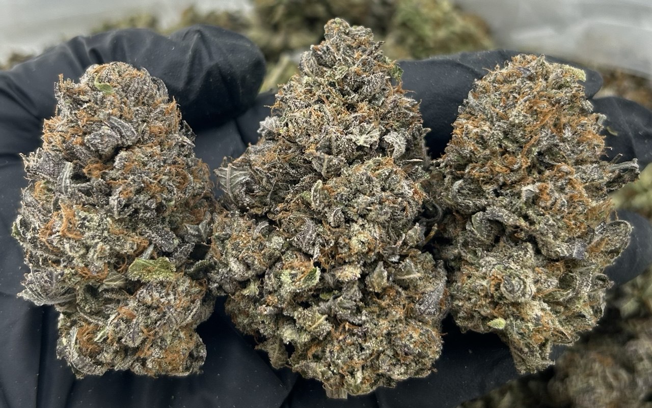 A1 Purple Platinum ZUP#3488