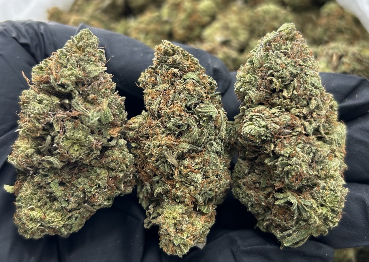 Atomic Bubbas ZUP#3774