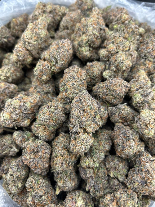 Bacio Pop Slurpee ZUP#3810