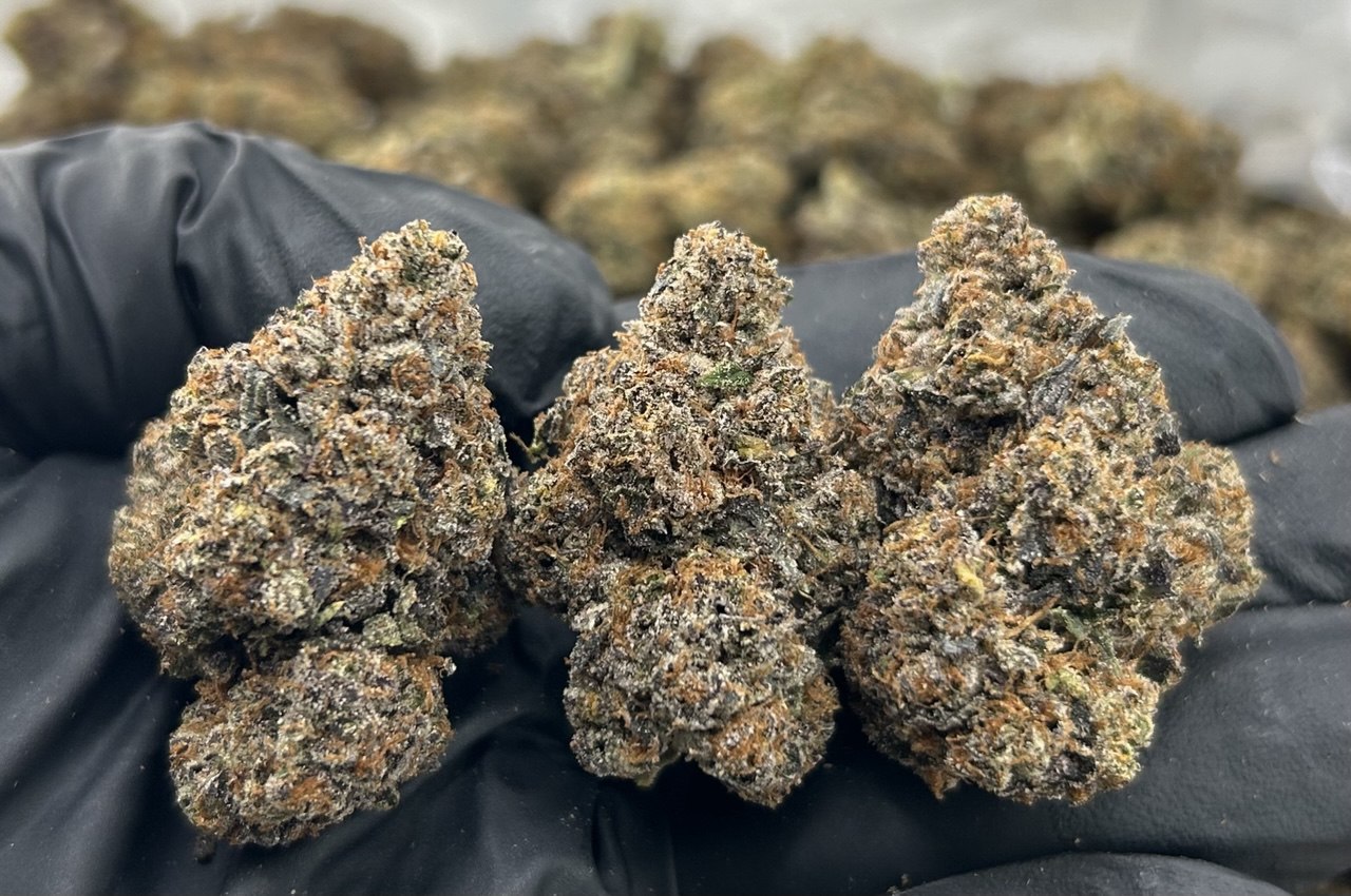 Backpack Boyz - Crunch Berry ZUP#3492