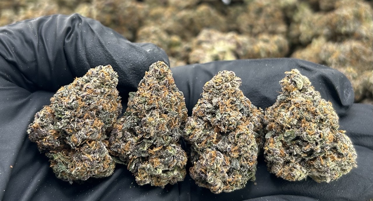 Backpack Boyz - Priority Zmoke ZUP#3491