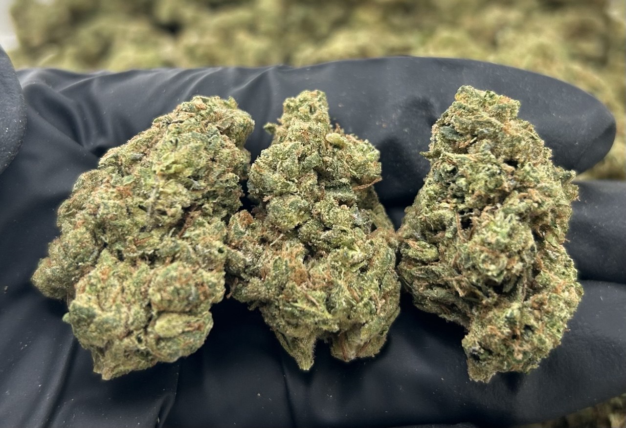 Benjamin Buttons ZUP#3434