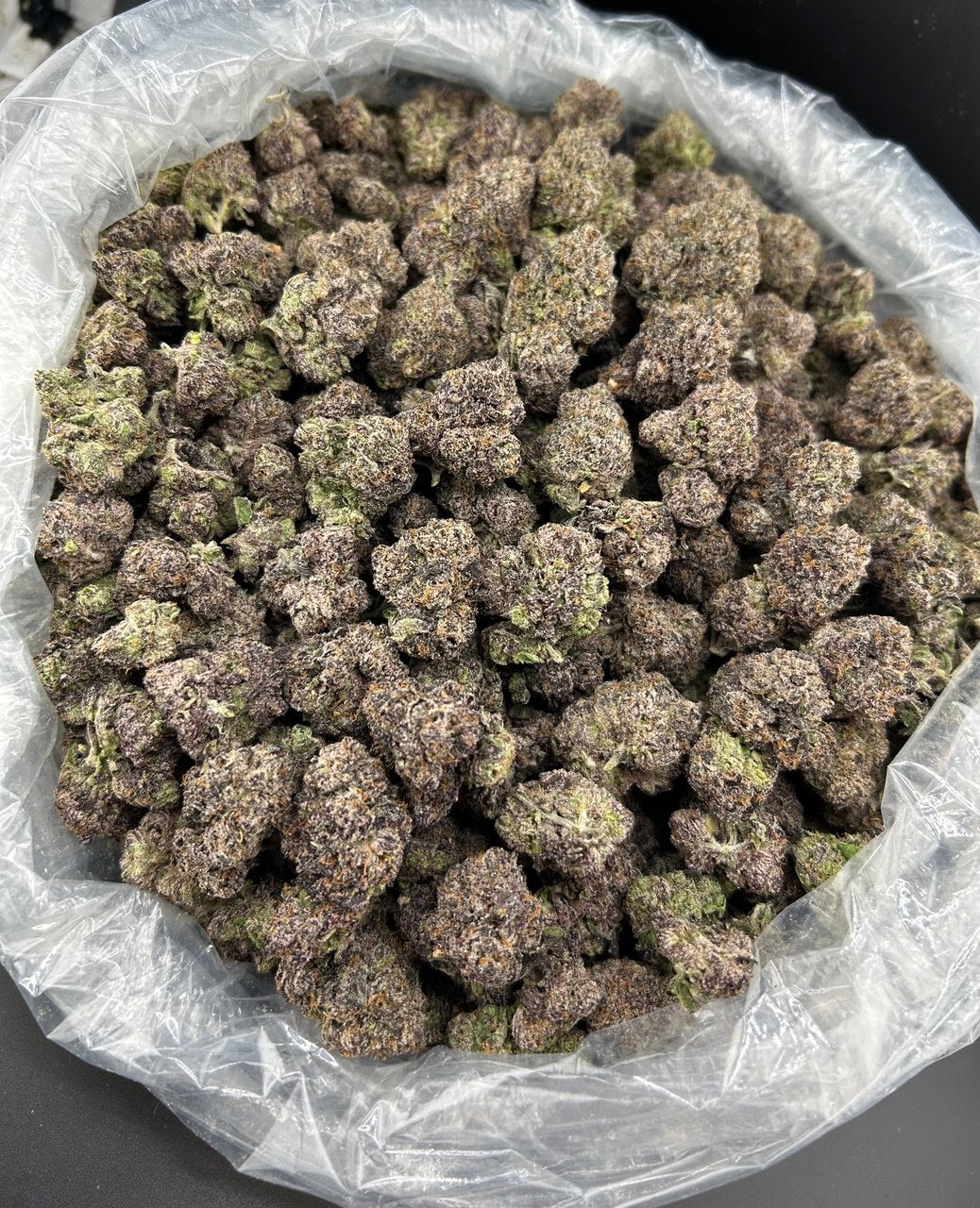 Berry Dreamz ZUP#3804