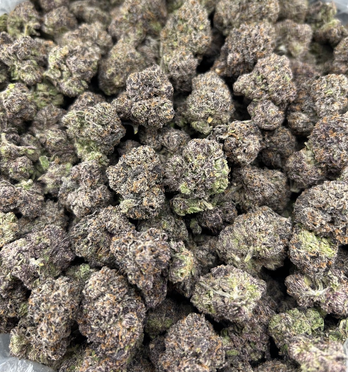 Berry Dreamz ZUP#3804