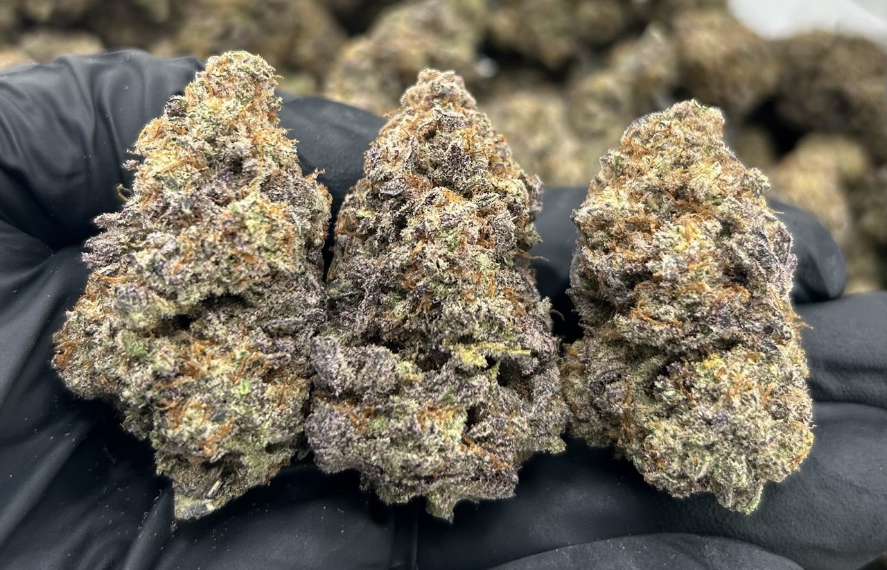 Black Cherry Soda ZUP#3493