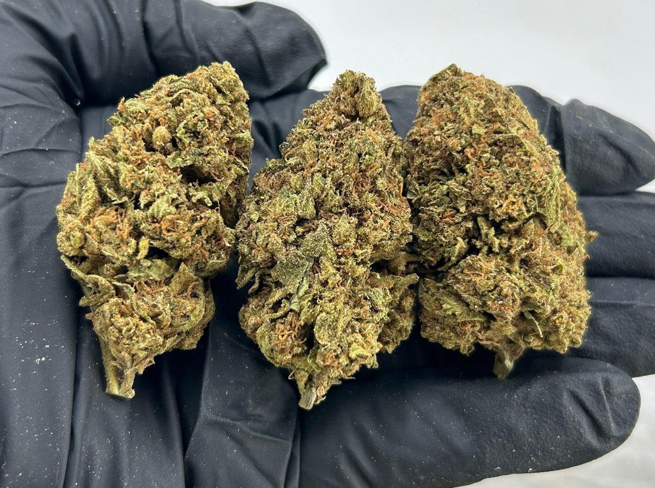 Bluetooth OG ZUP#3422