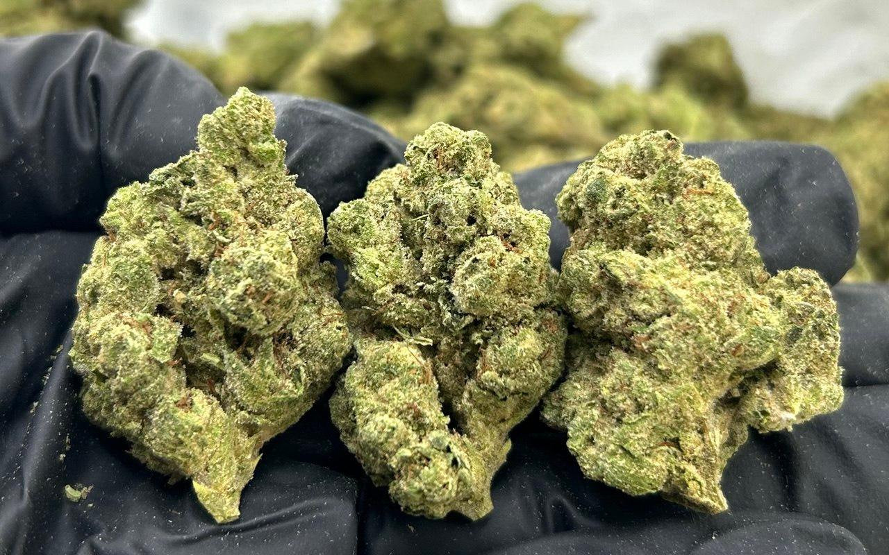 Candy Poppers ZUP#3417