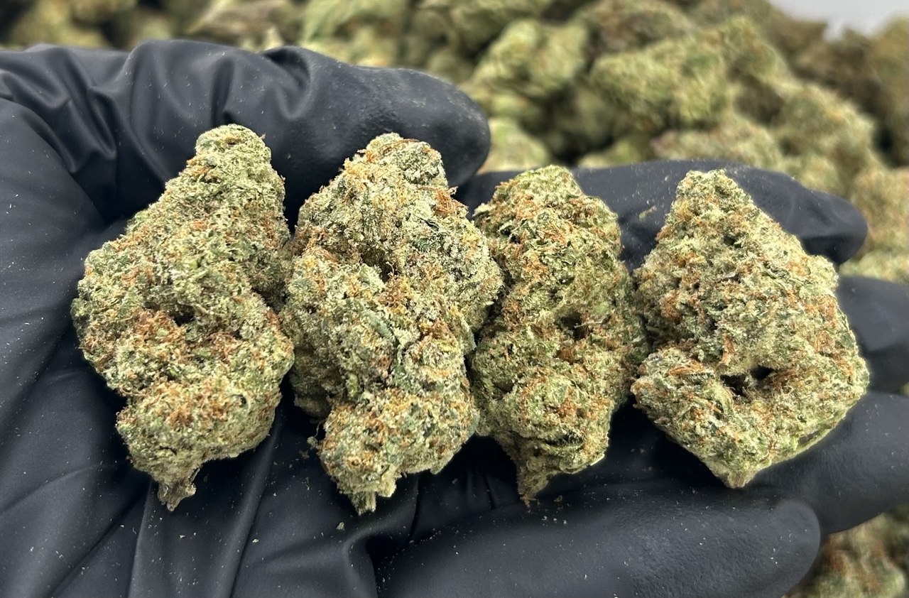 Cherry Delight ZUP#3436