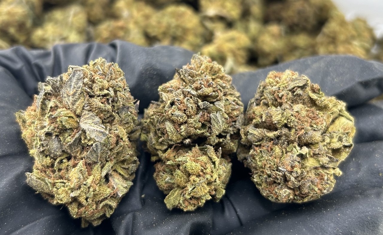 Donut Holes ZUP#3439