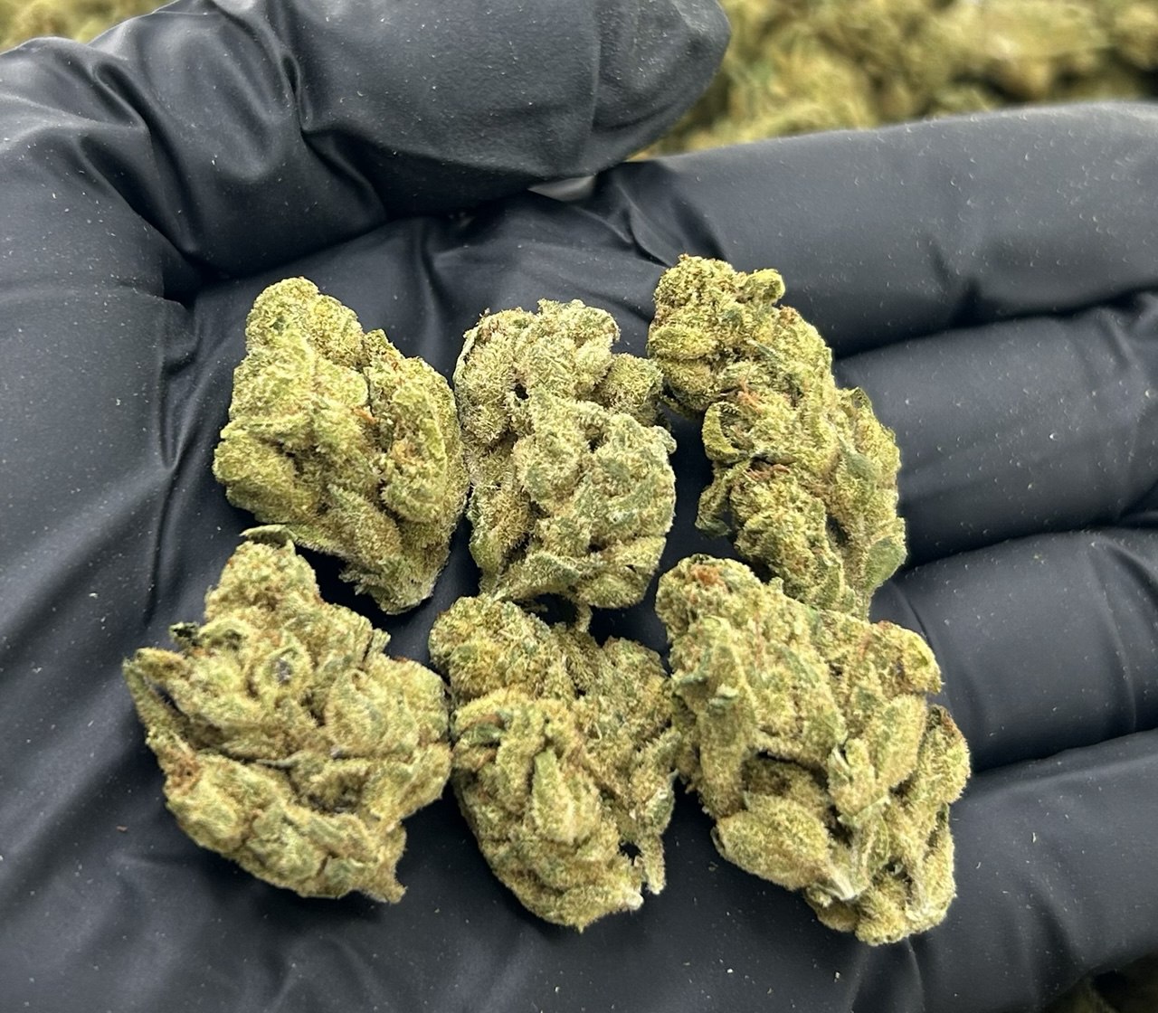 FRUIT ROLL UPS ZUP#3444