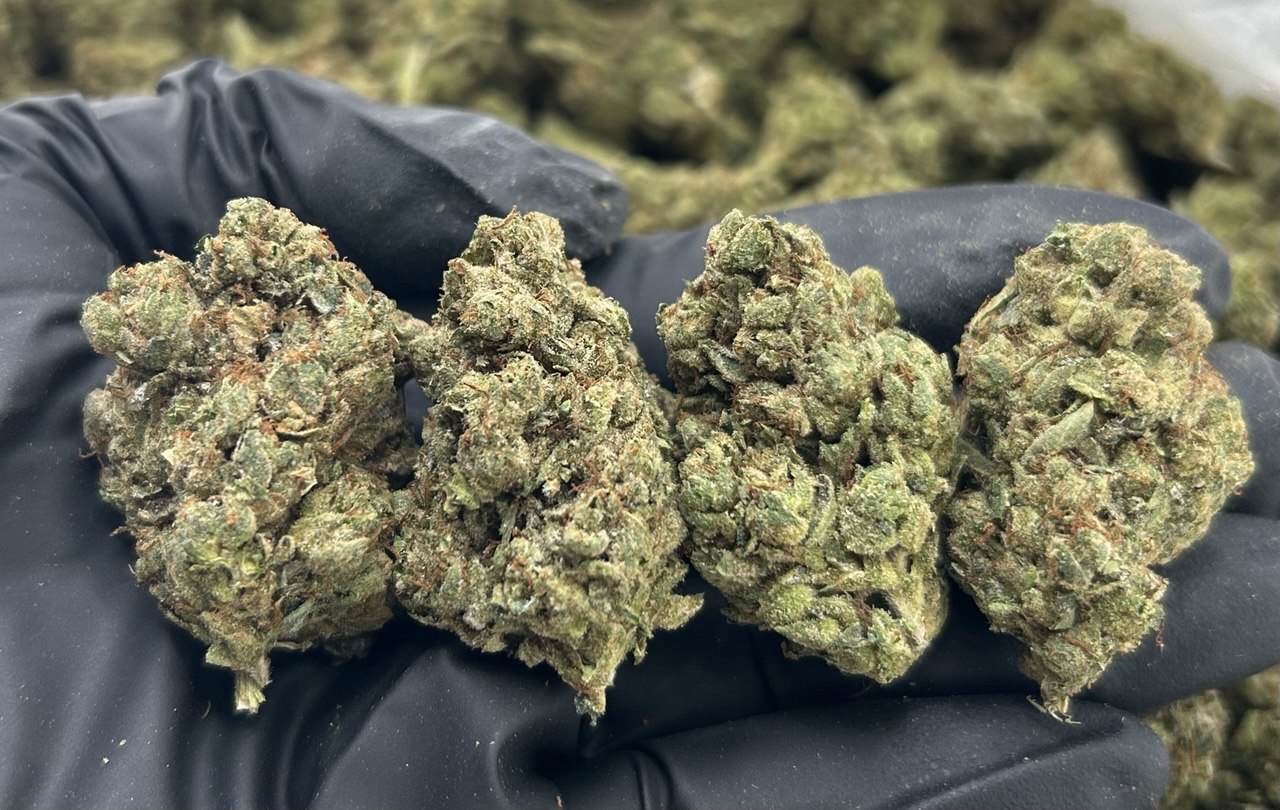 Gashouse OG ZUP#3435