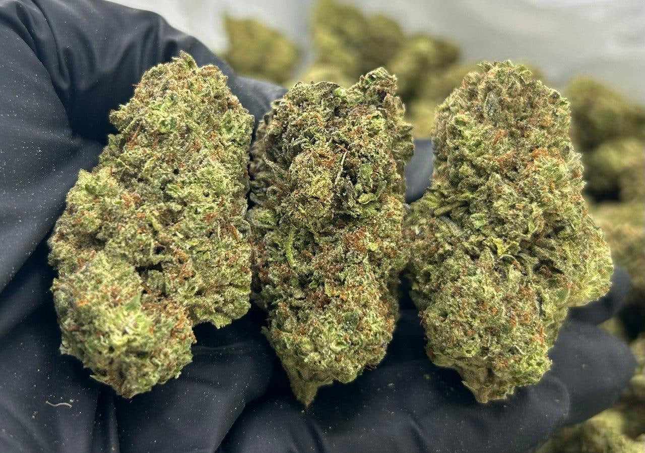 Ice Cream Sundae ZUP#3416