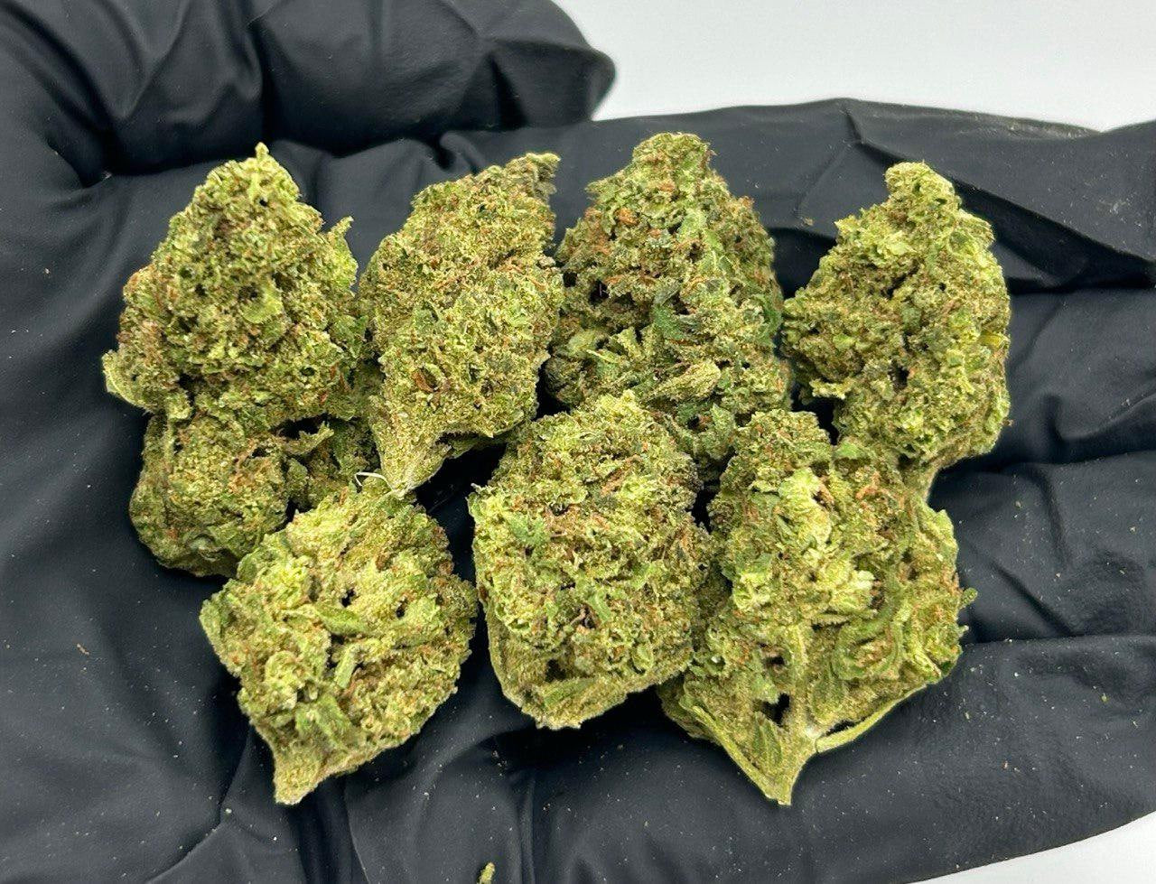 Jet Fuel Kush ZUP#3424