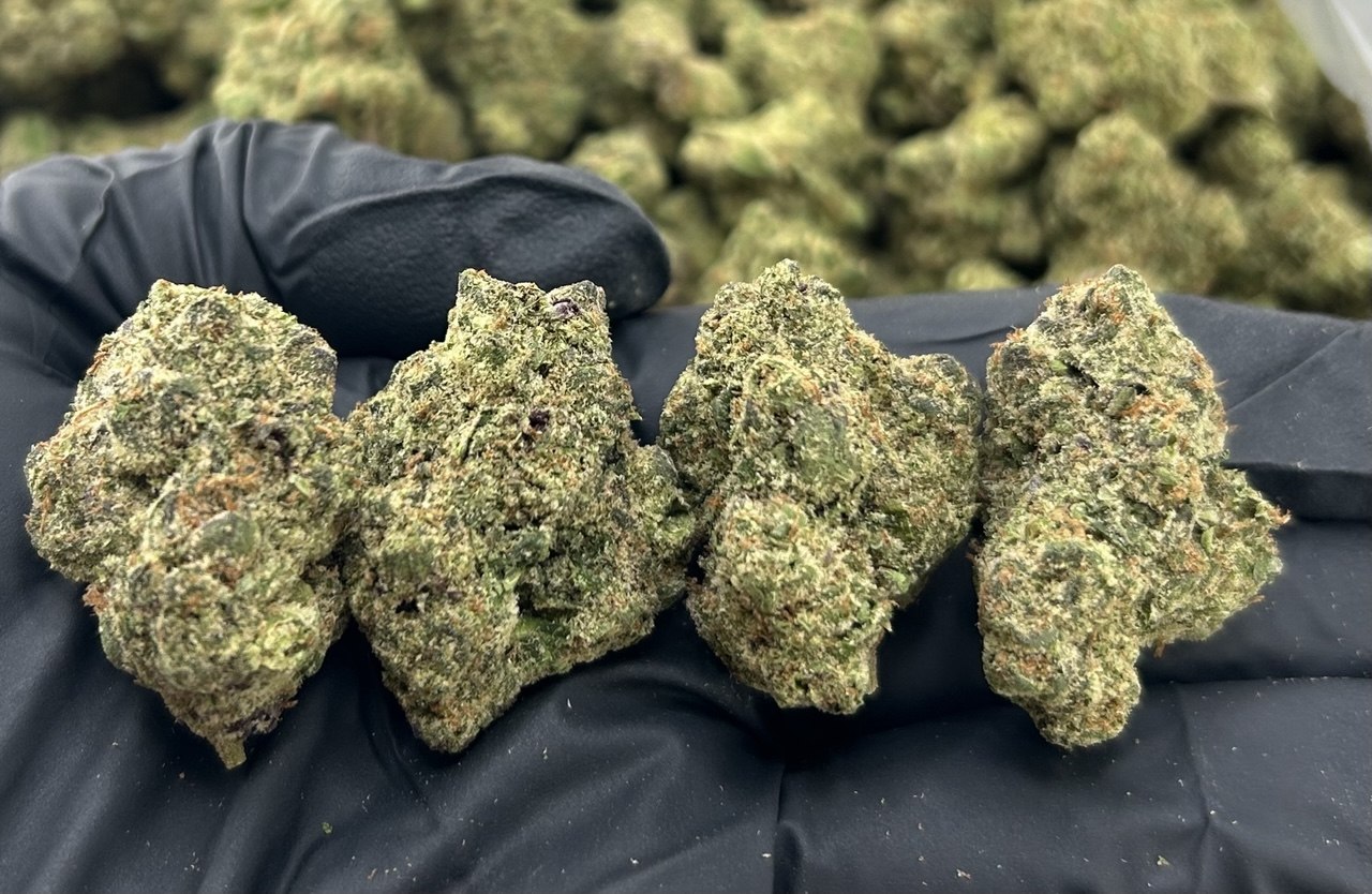 Looney Gas Burger ZUP#3475