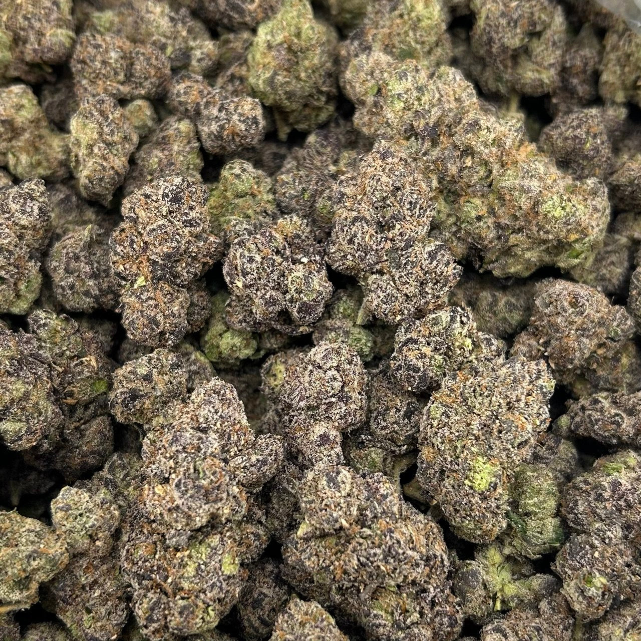 Blue Yummiez ZUP#4048