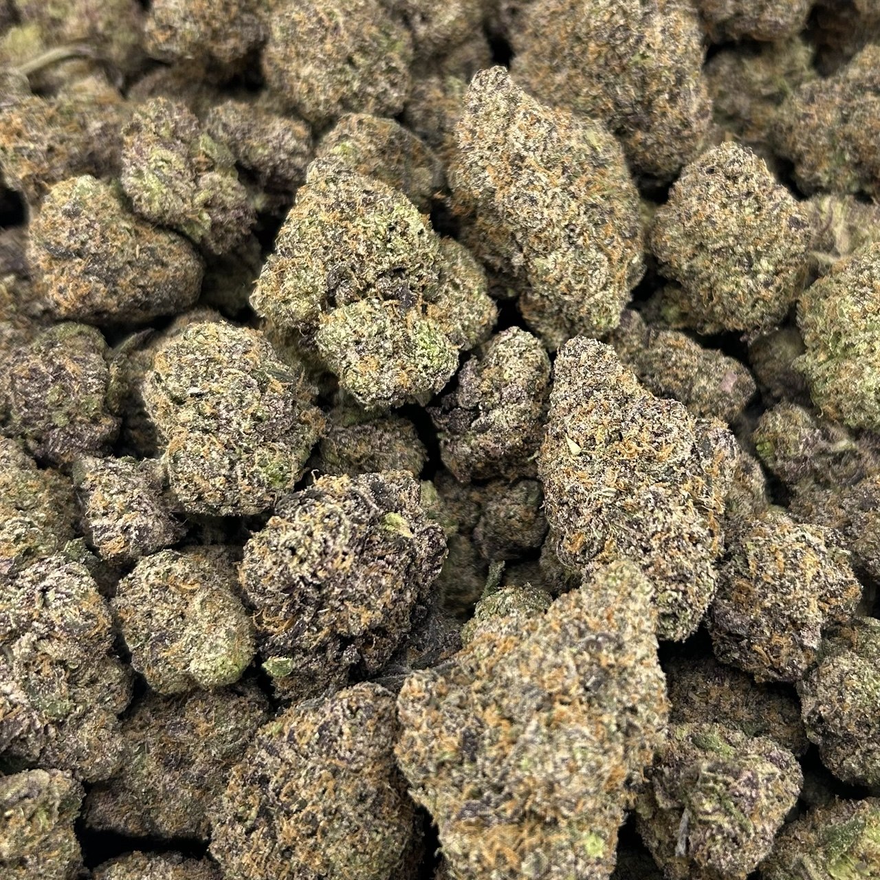 Blueberry Mochi ZUP#4049
