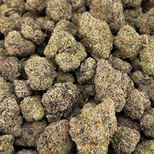 Blueberry Mochi ZUP#4049