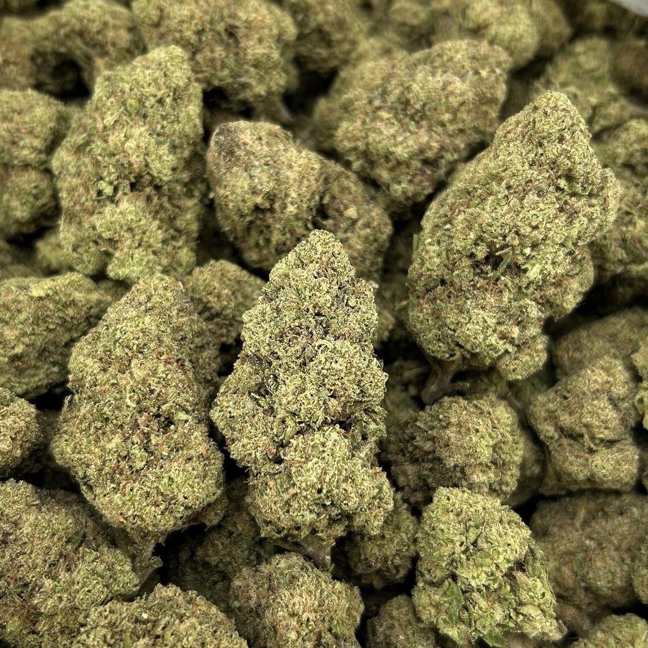 Lemon Berries ZUP#4053