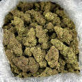 Jordan Mintz ZUP#4061