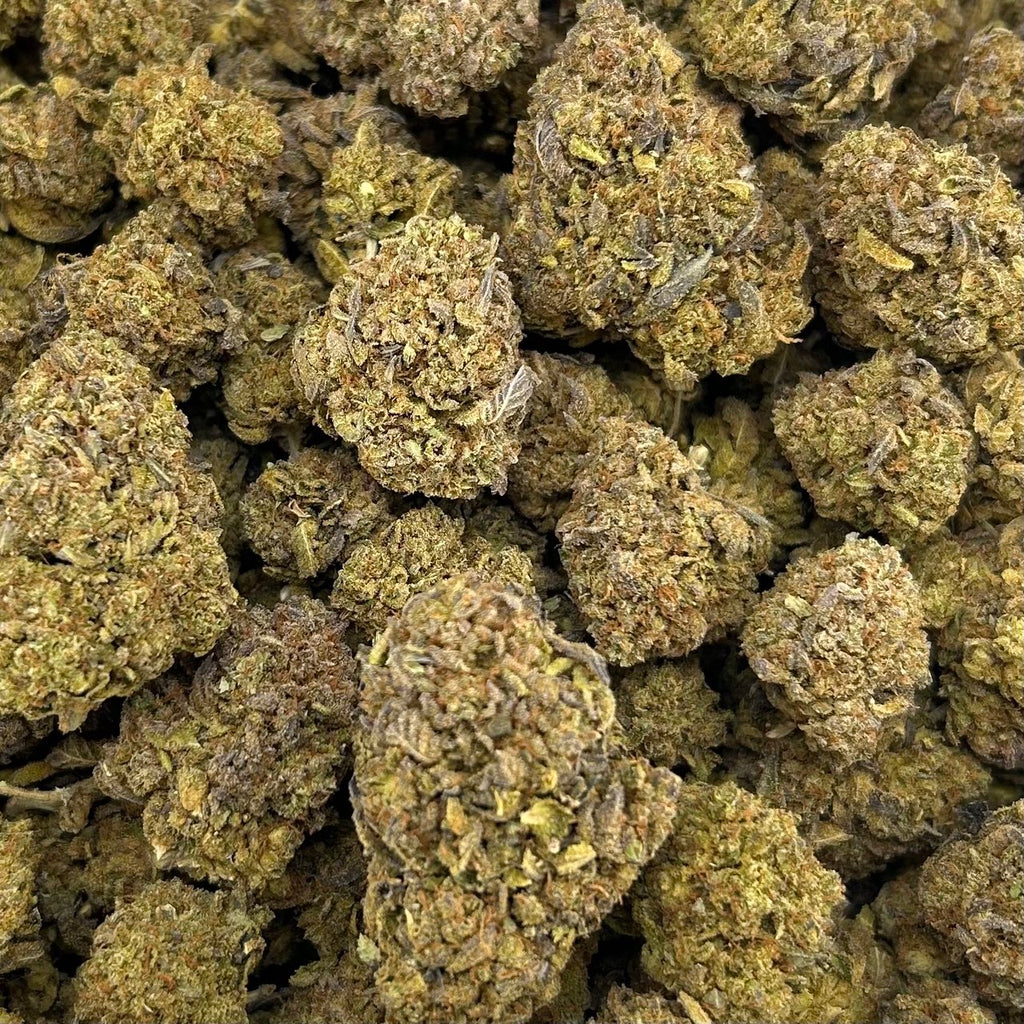 Blueberry Gelato ZUP#4081