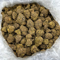 Dubai Candy Kush ZUP#4085