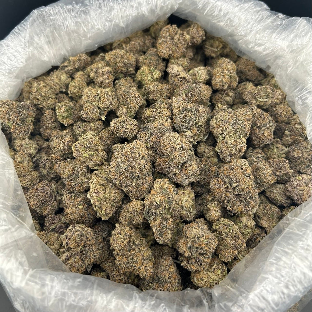 Hi Tech Gummiez ZUP#4091