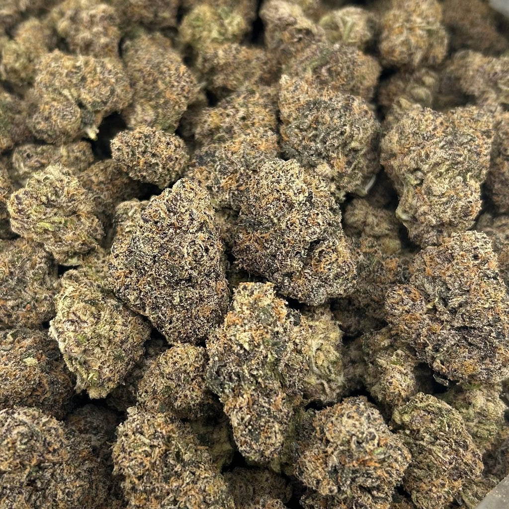 Hi Tech Gummiez ZUP#4091