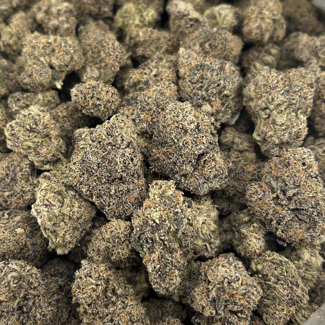 Hi Tech Gummiez ZUP#4091