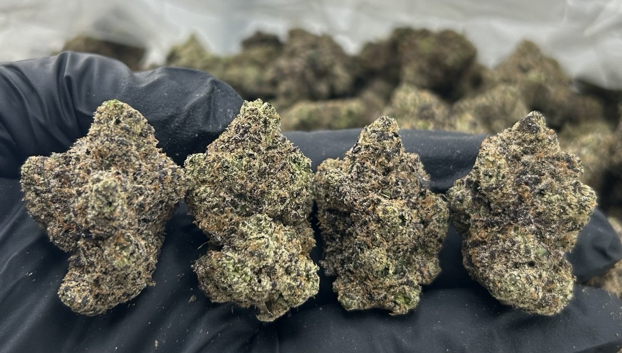 PEACH PIE (TERPED FLOWER)