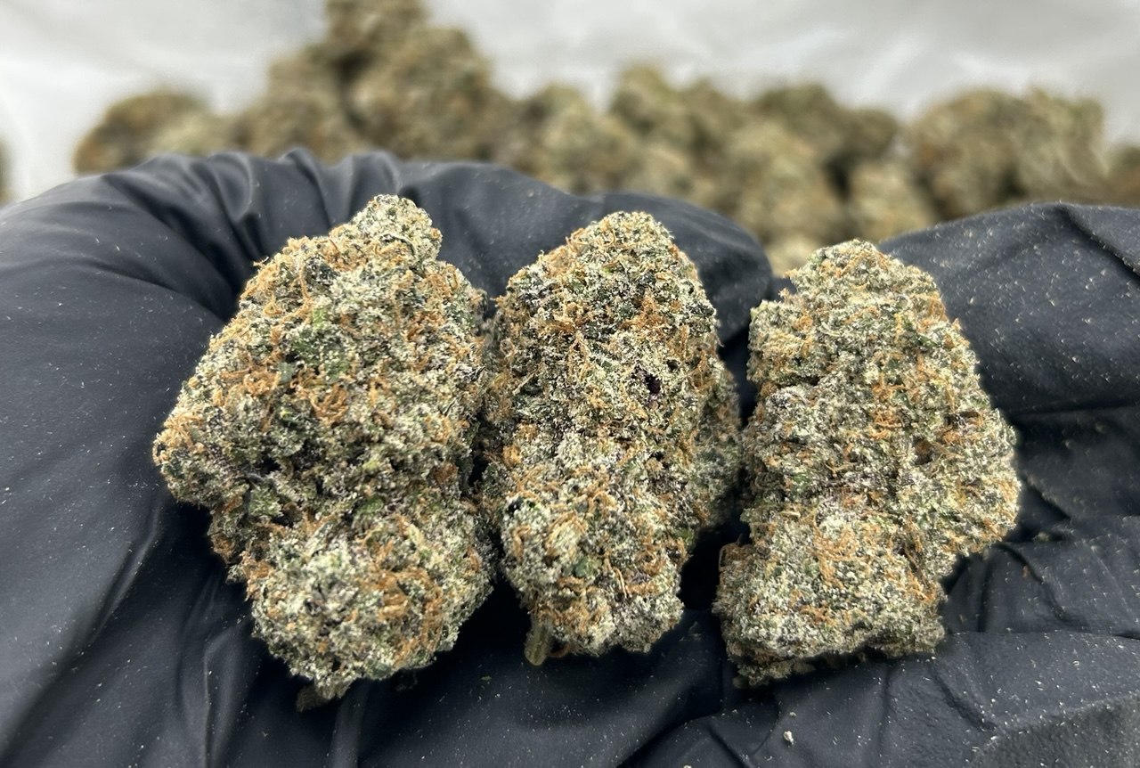 Lemon Cherry Gas ZUP#3456