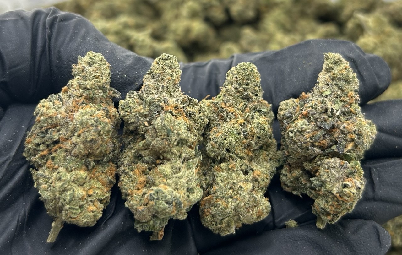 Blue Razz Pop ZUP#3483