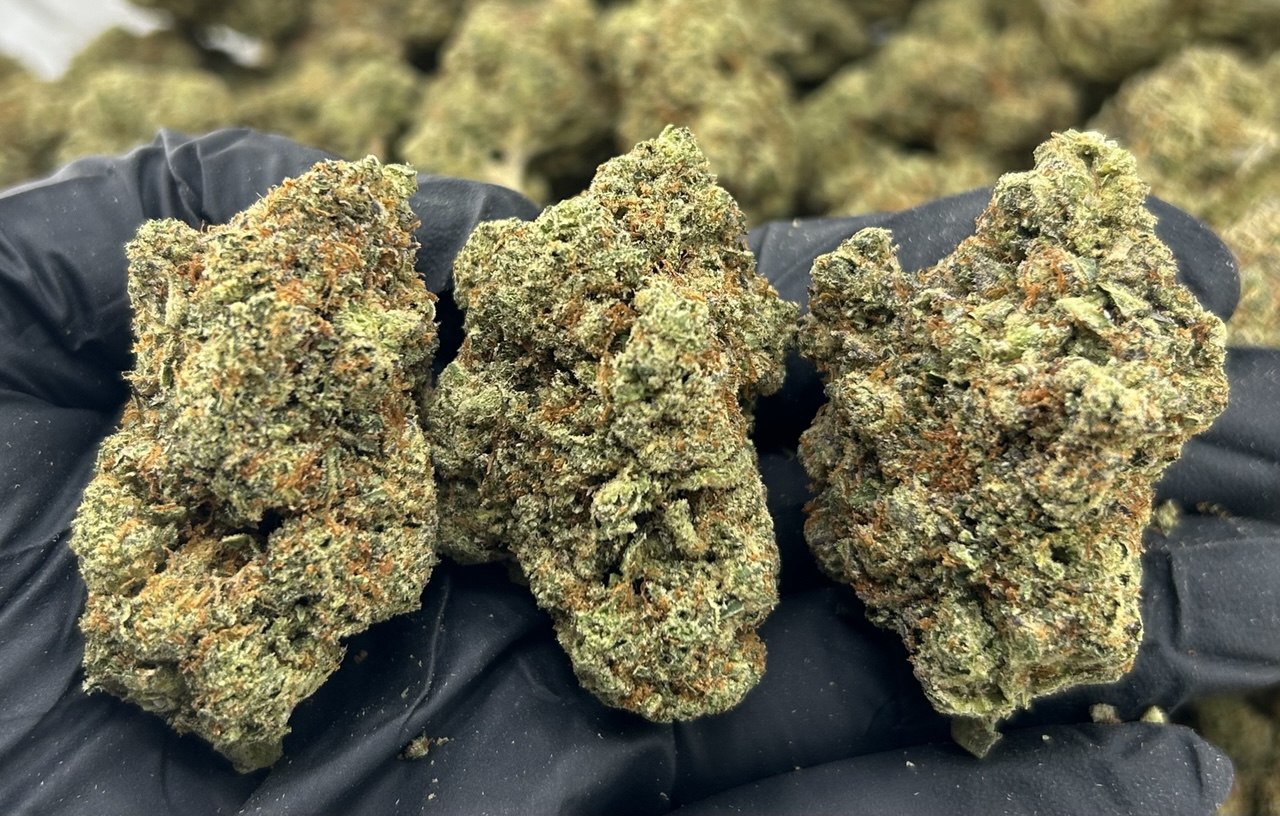 Power Punch Kids ZUP#3485