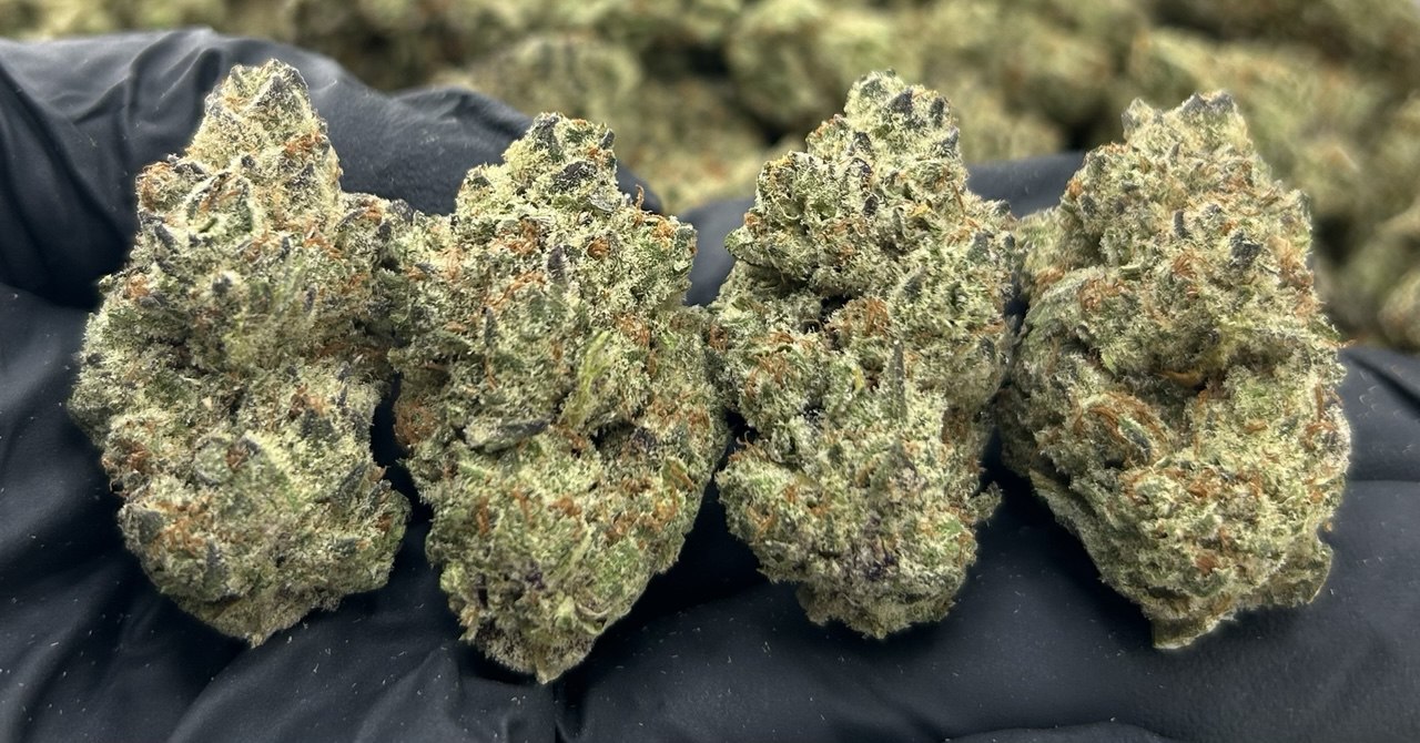 Cereal Milk ZUP#3499