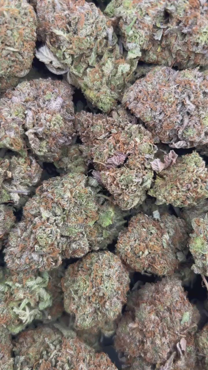 PLATINUM OG #ZUP4684