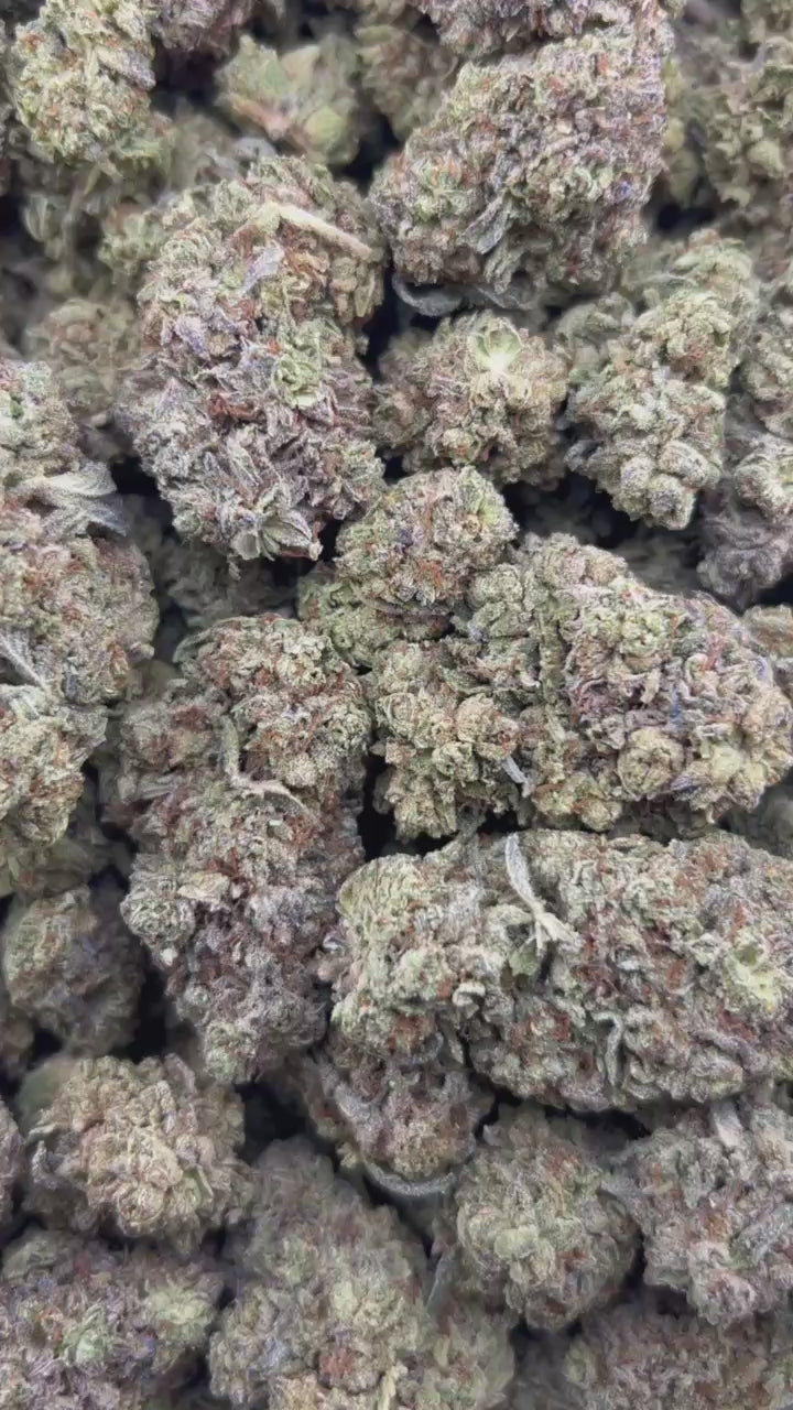 TRUFFLATO ZUP#4526