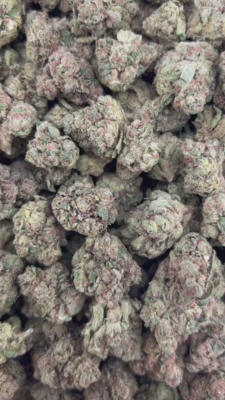 CHERRY FANTA ZUP#4558
