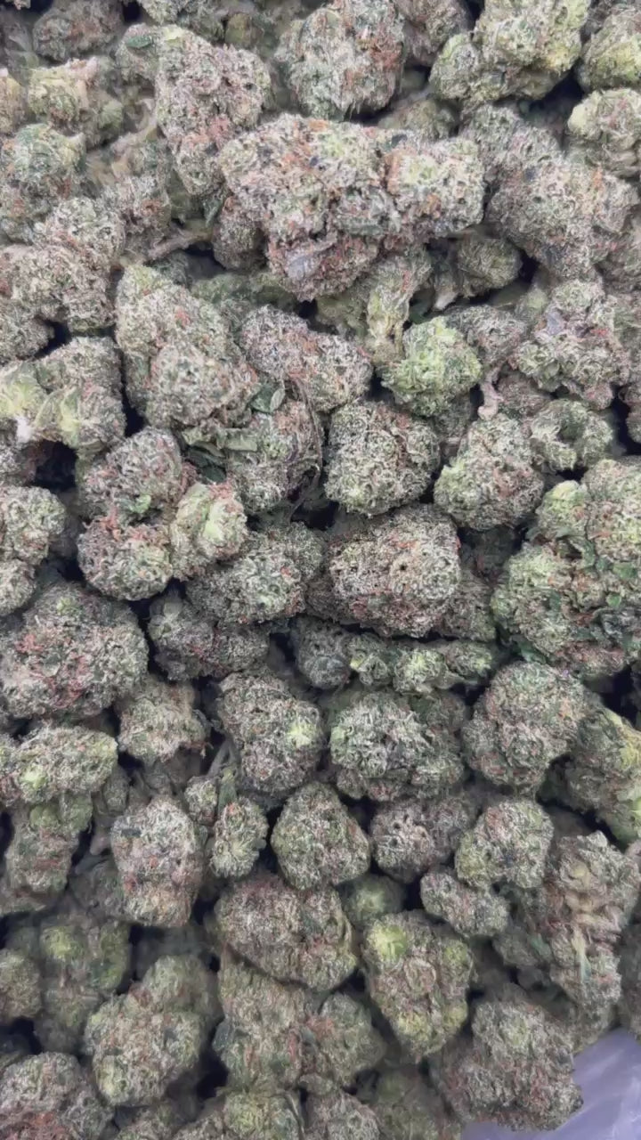 BERRY MIST #ZUP4597