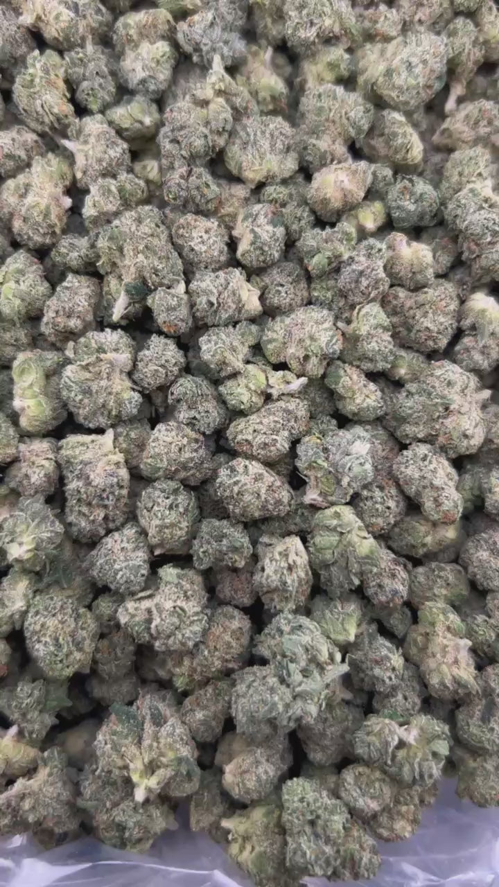 BLING BLING CHERRIES #ZUP4603