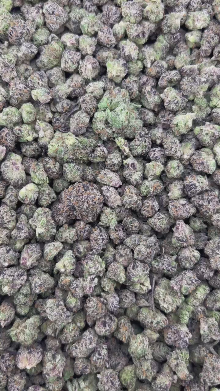 BLUEBERRY NOIR #ZUP4712