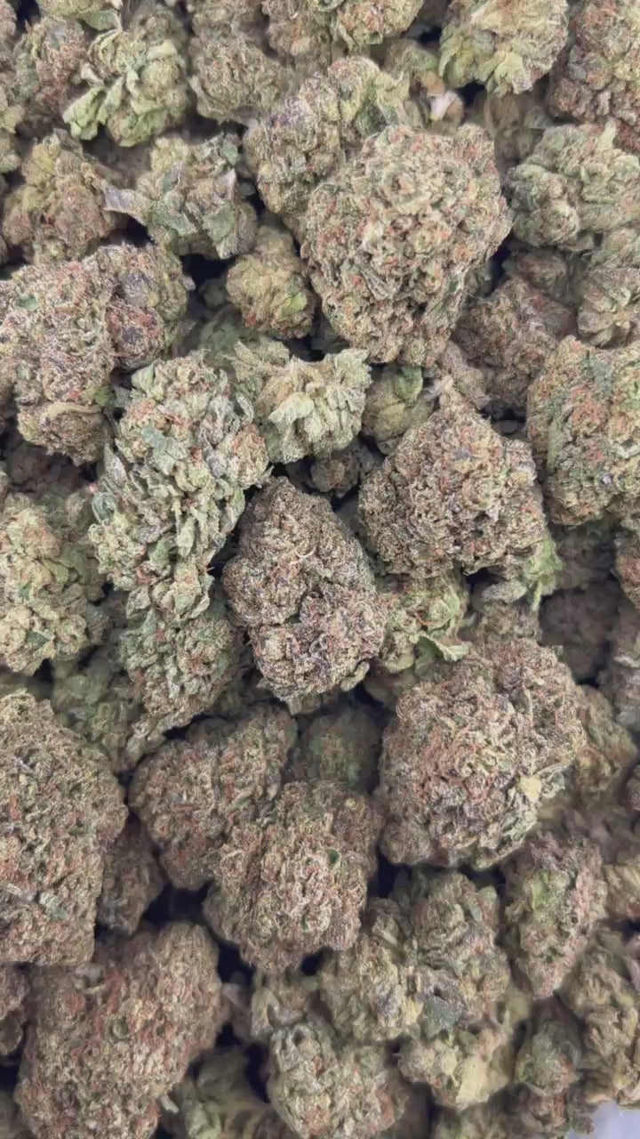FROSTED CHERRIES #ZUP4642