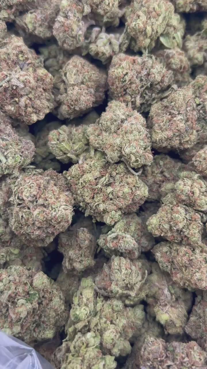 PINK PANTIEZ ZUP#4542