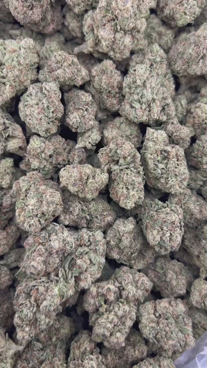 ALIEN CANDY #ZUP4643