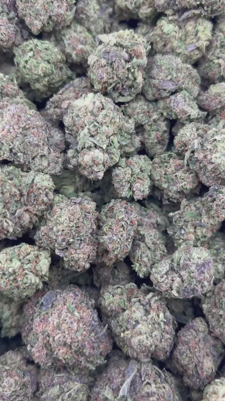 BLUEBERRY SCHNOPZ #ZUP4717