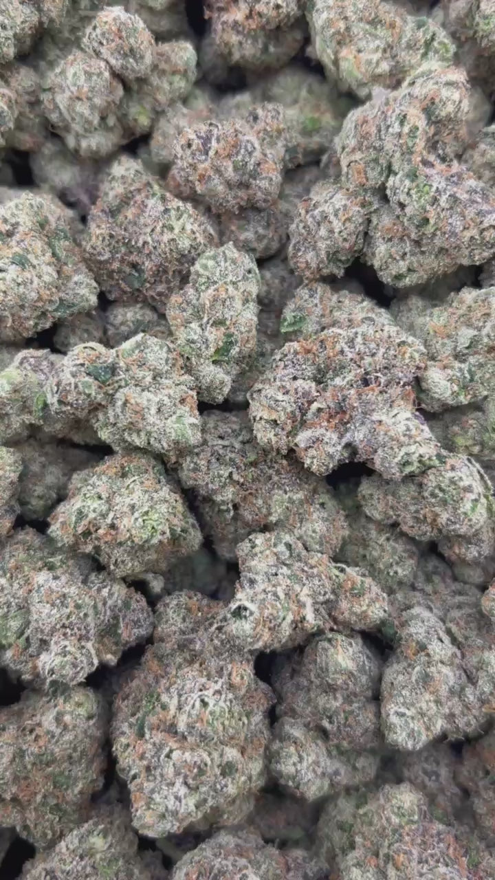 GELATO FROST #ZUP4702