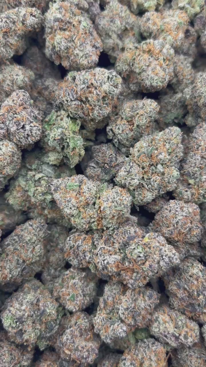 COSMIC CANDY #ZUP4661