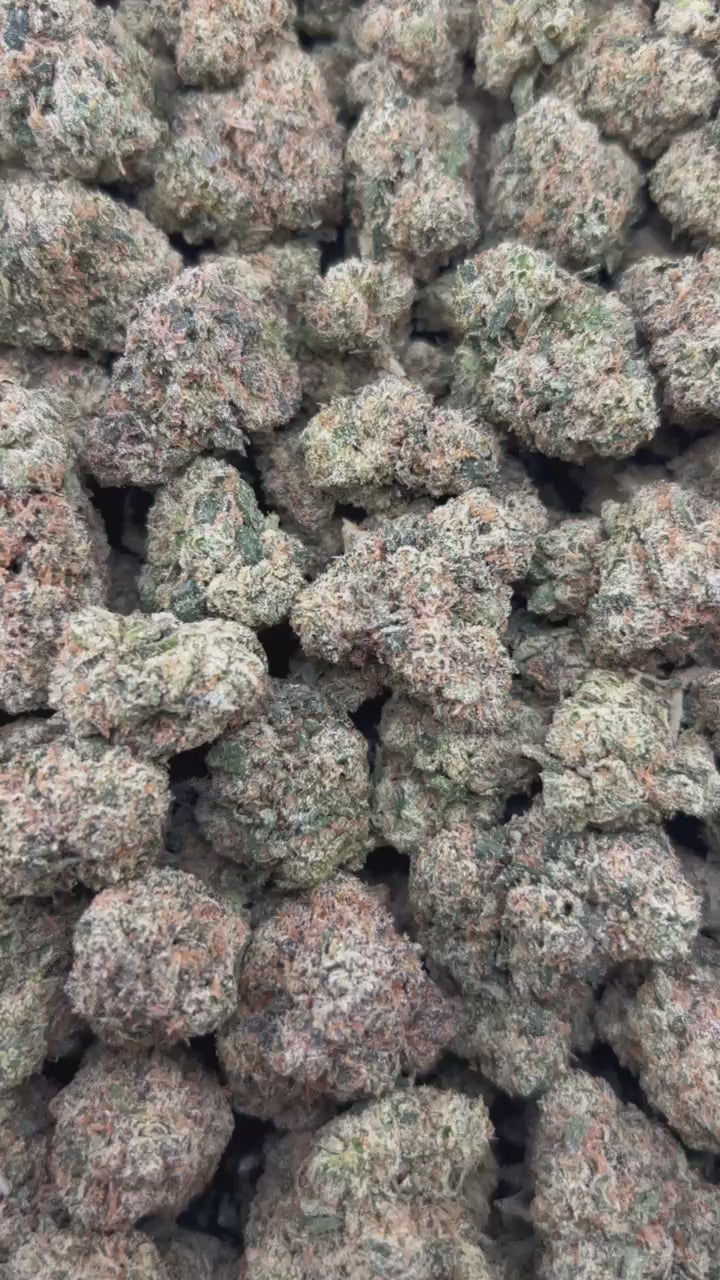 YELLOW SKITTLEZ #ZUP4614