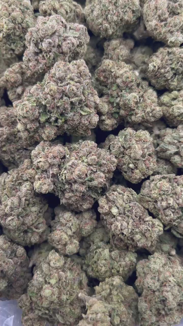 FROZEN BLUEBERRIEZ ZUP#4537